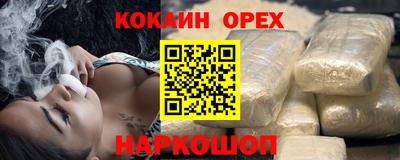 стаф Дубна