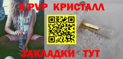 стаф Дубна