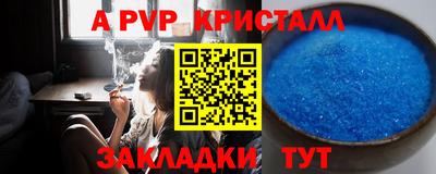 стаф Дубна