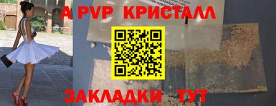 стаф Дубна