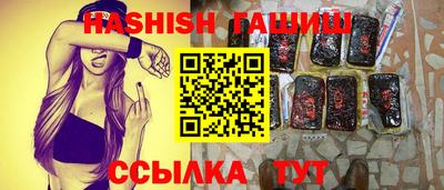 стаф Дубна