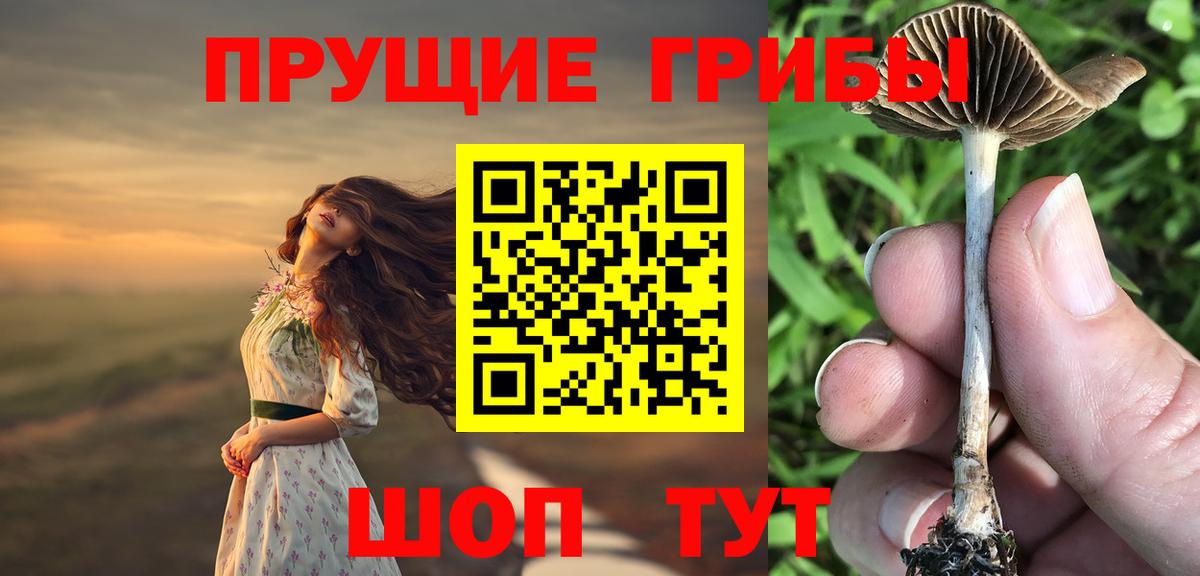 Галлюциногенные грибы Cubensis Улан-Удэ